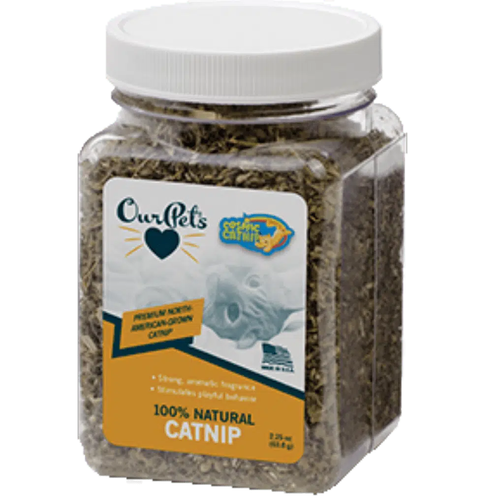 OurPets Cosmic Catnip Cup