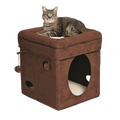 Curious Cat Cube