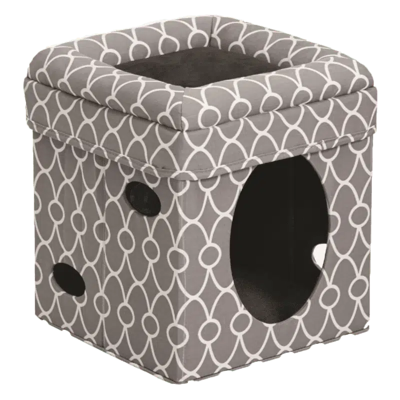 Curious Cat Cube