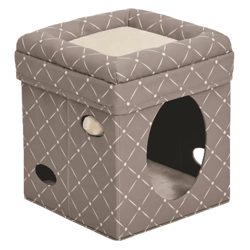 Curious Cat Cube