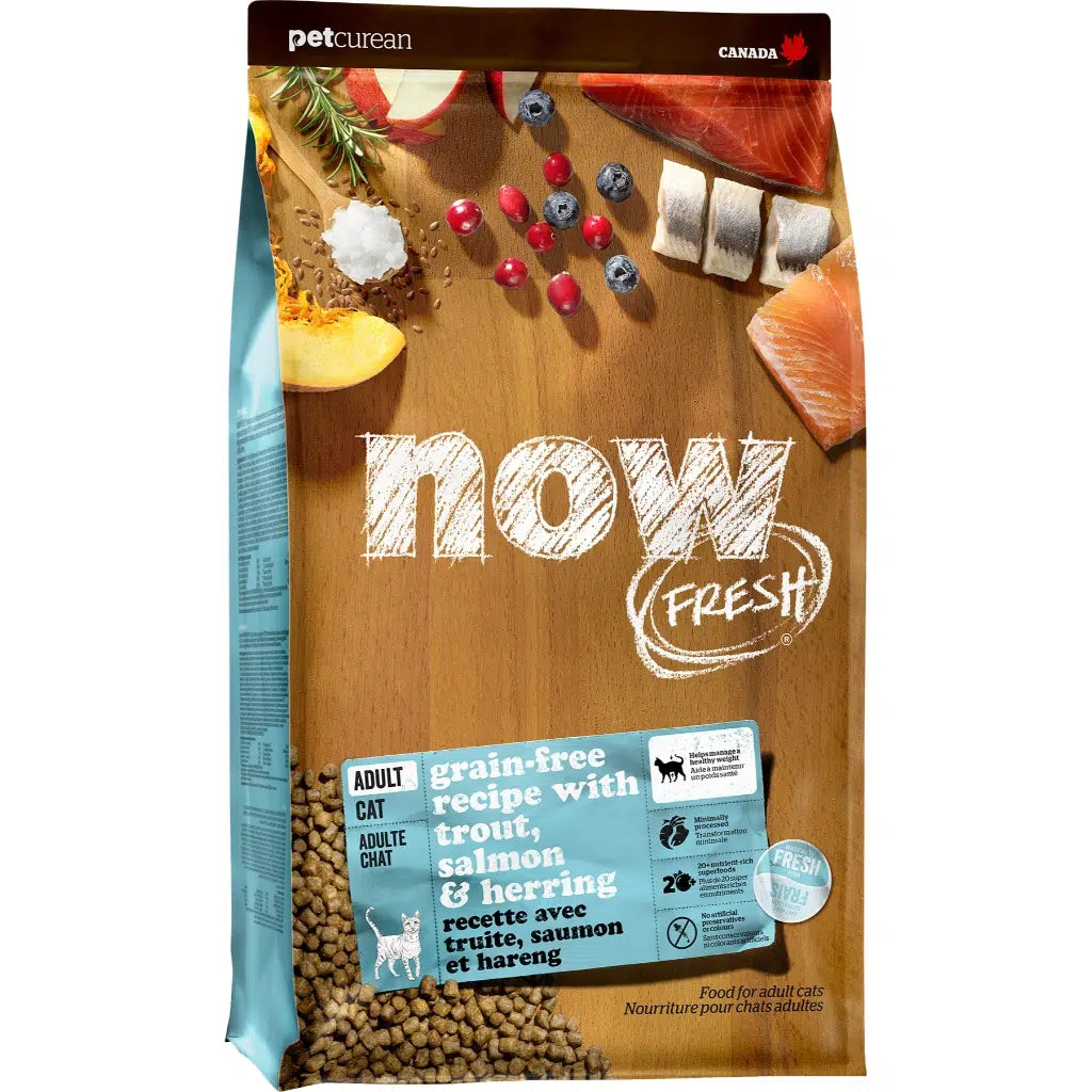 NOW Fresh Adult Cat Fish