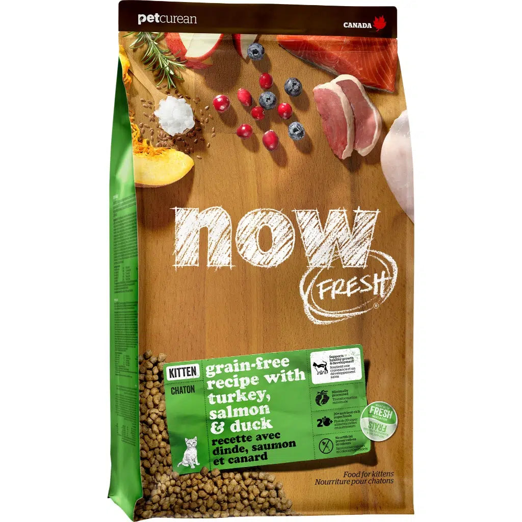 NOW Fresh Kitten Recipe