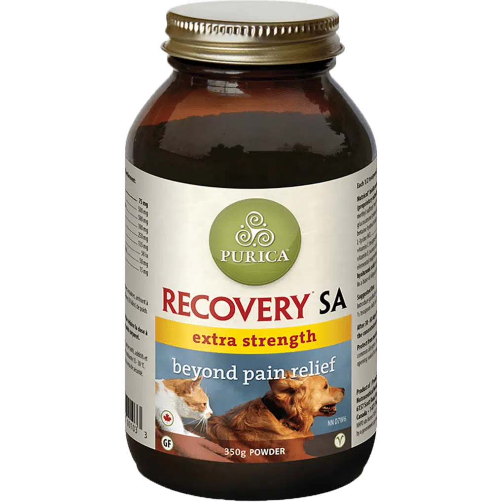 Purica Recovery SA Extra Strength Powder 350g