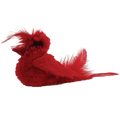 OurPets RealBird Fly Over Cat Toy
